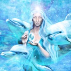 dolphins-divine-purpose-florencia-burton