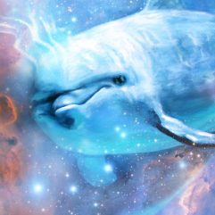 Ra-divine-play florencia-burton-visionary art dolphins painting dolphins art