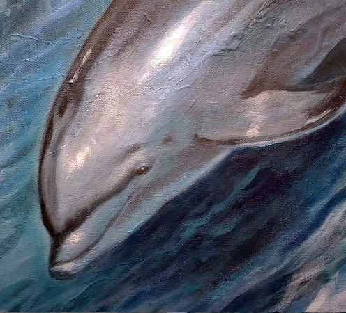 delfin-libertad-pacifica-florencia-burton-Dolphins-on-the-waves--LIBERTAD-PACÍFICA-florencia-burton