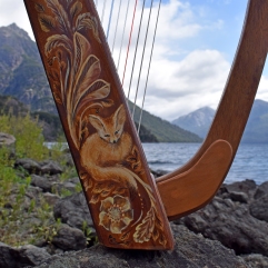 VII gray burton harps bariloche martin gray luthier del bosque arpa oceanika 26 double strung